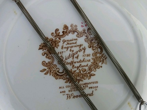 Ridgway WOODLAND White Background Dinner Plate Staffordshire England