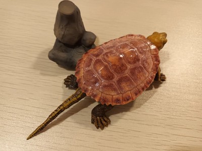 Foto dell'oggetto di un acquirente verificato