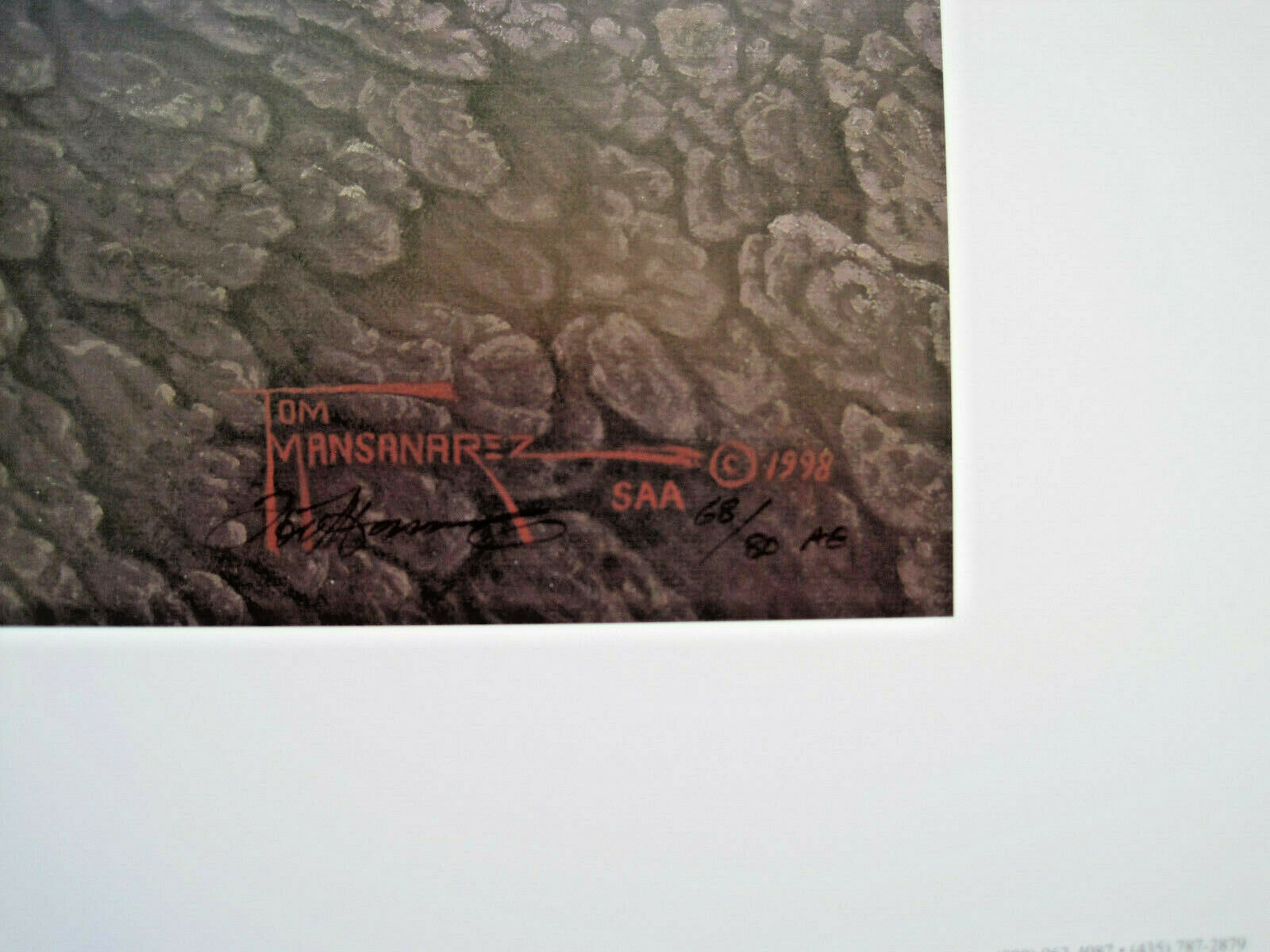 OUT ON A LIMB -BOB CAT PRINT  by TOM MANSANAREZ  **PLUS FREE PRINT