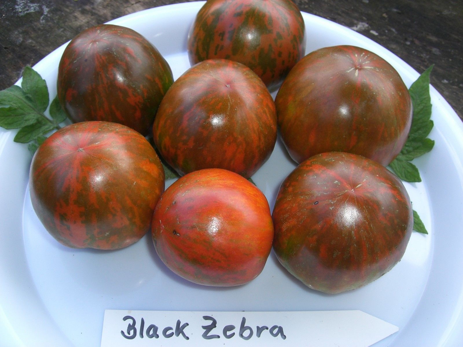 Volle-Sonne Pflanzen, Sämereien & Blumenzwiebeln mit Mittel