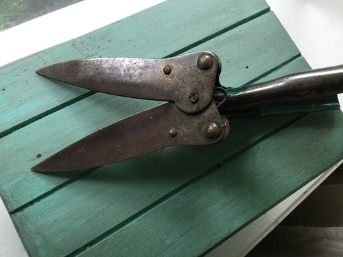 Vintage Metal Primitive Garden Clippers, Shears, Green Patina