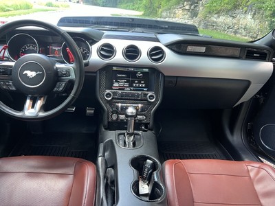 image 10 of interior