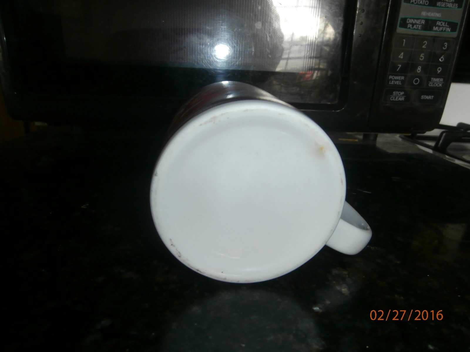 dale earnhardt jr. coffee mug Nascar