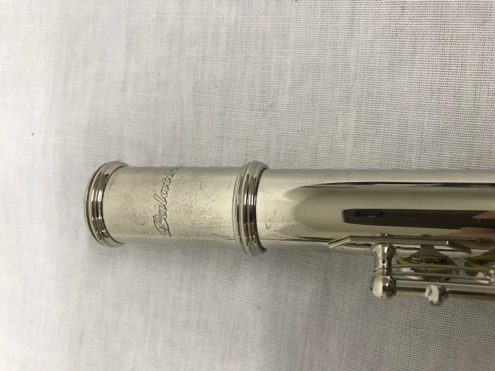 Palatino Student Flute in Protective Carrying Case