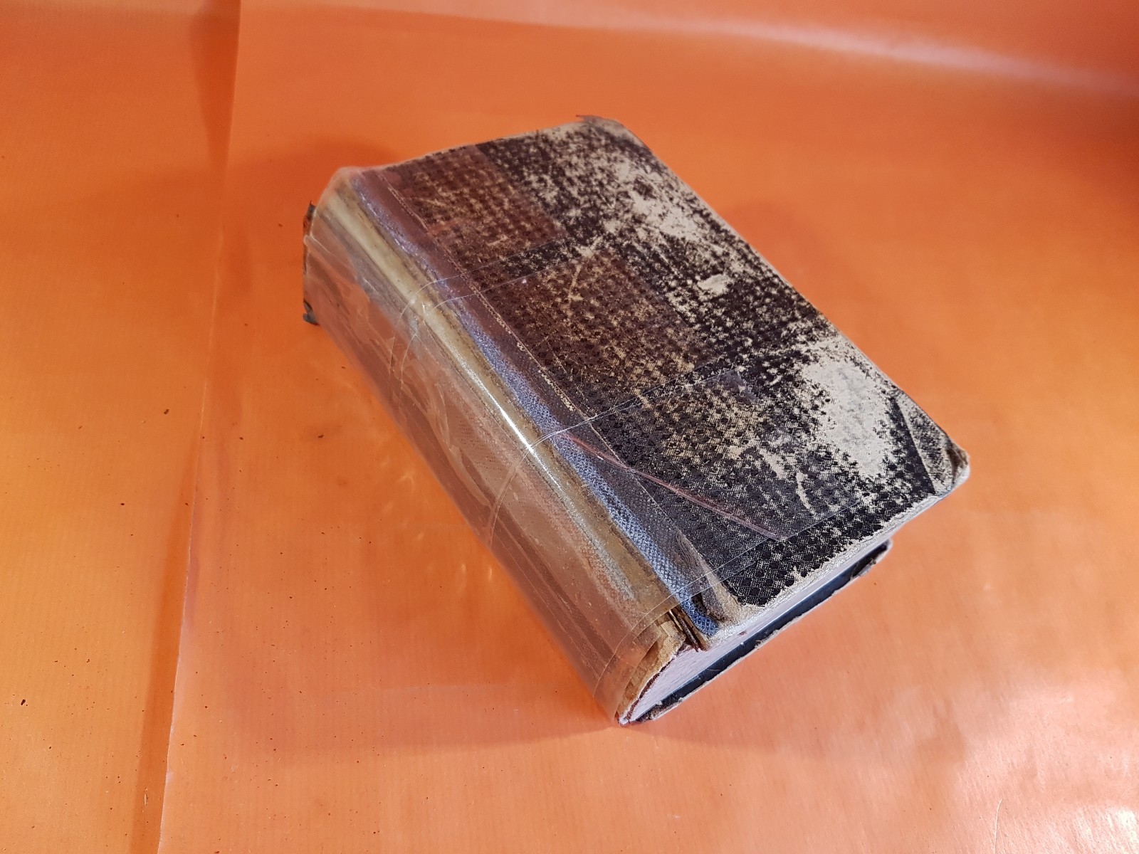 Die Bibel oder die ganze heilige schrift des alten u. neuen Testament (AMBU1186)
