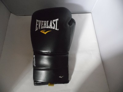 everlast protex 2