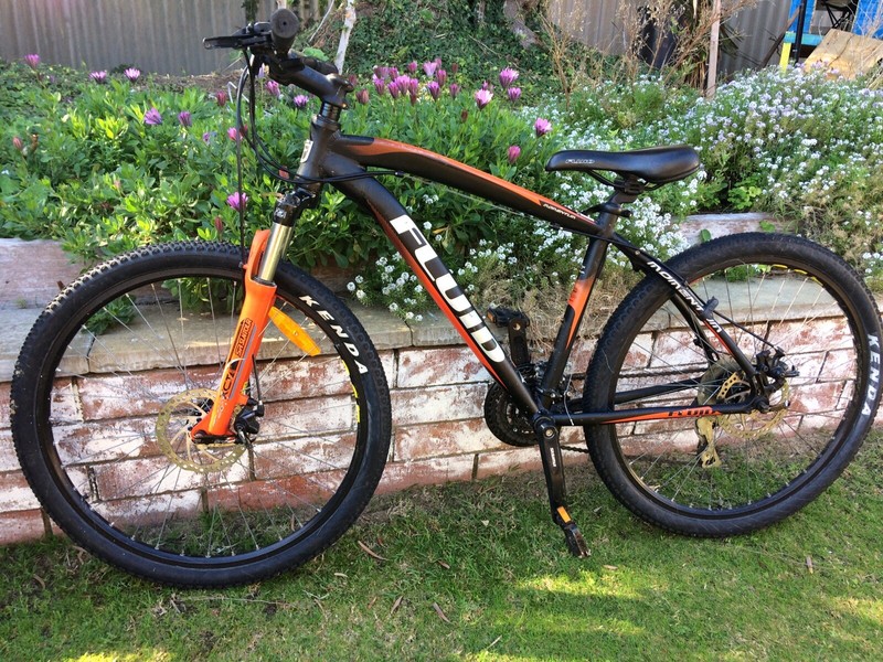 fluid momentum mountain bike