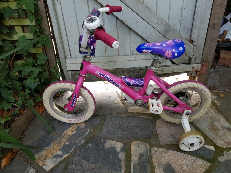 mongoose lilgoose 12