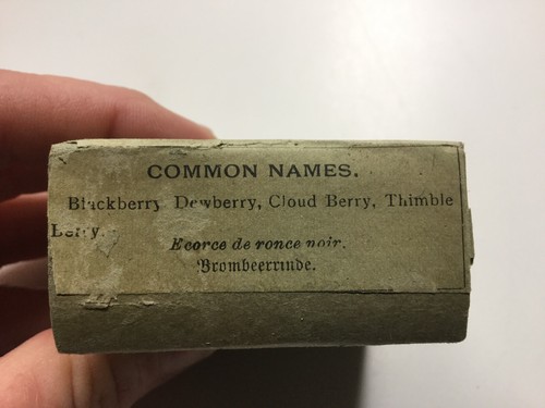 Vintage Crude Drug Box, Blackberry Bark Of Root, Allaire, Woodward & Co.