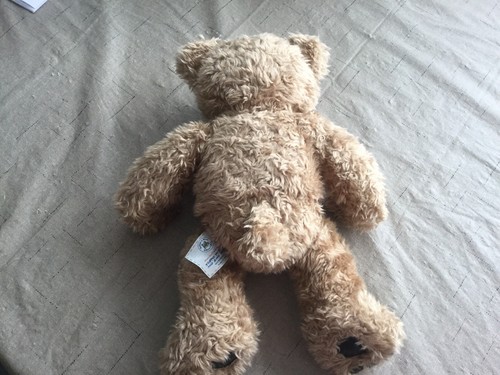 Build A Bear Curly Haired Brown Bear.  Super Cute!