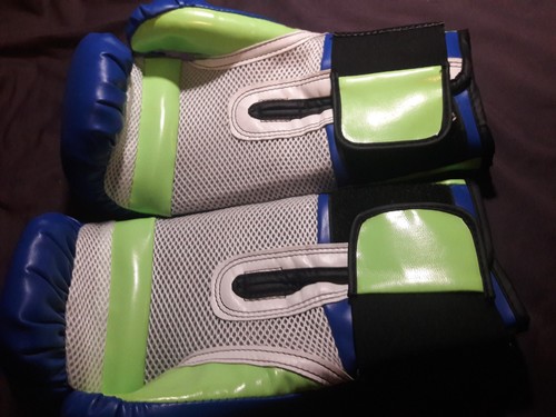 Everlast Pro Style Elite Evershield Training Gloves 12 oz. Purple & Yellow new