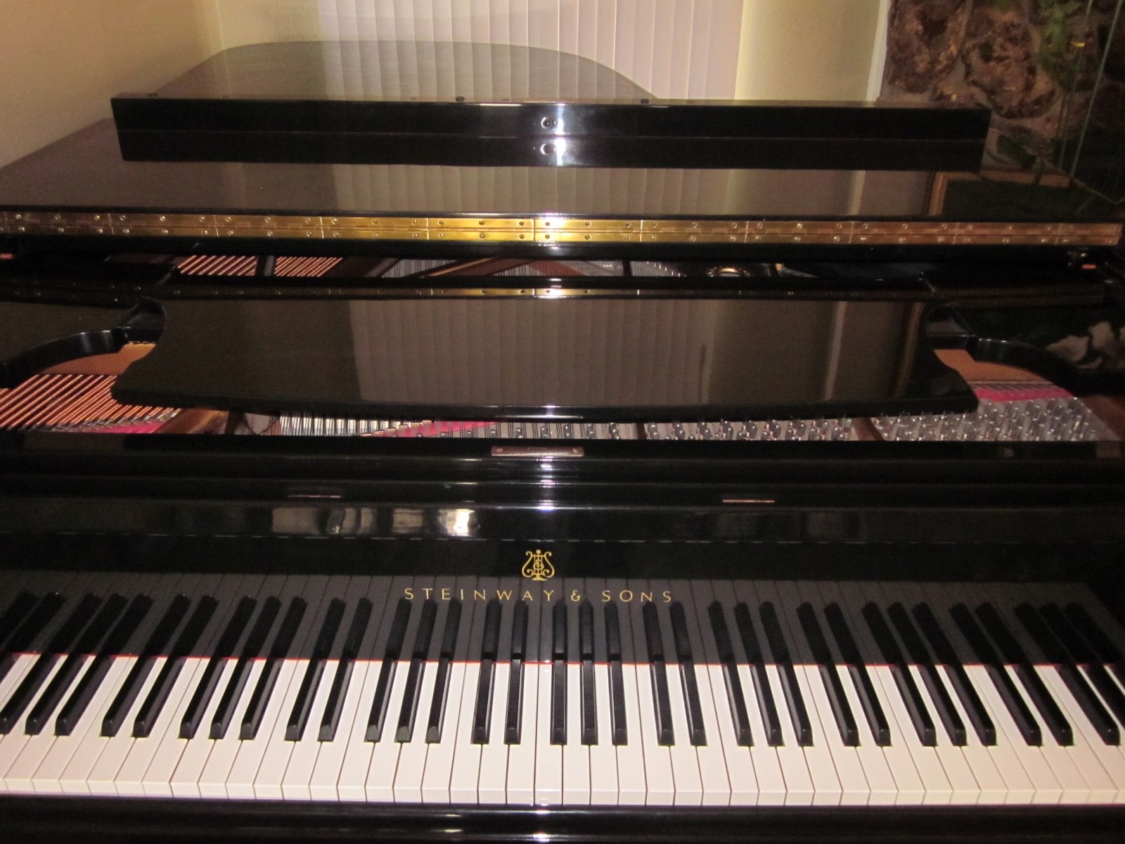 Beautiful 1930 Steinway B, completely rebuilt, excellent condition!