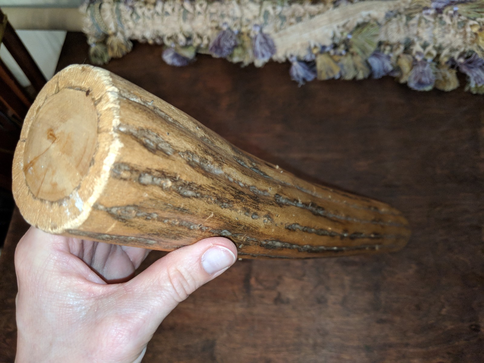 Chilean Cactus Wood 19