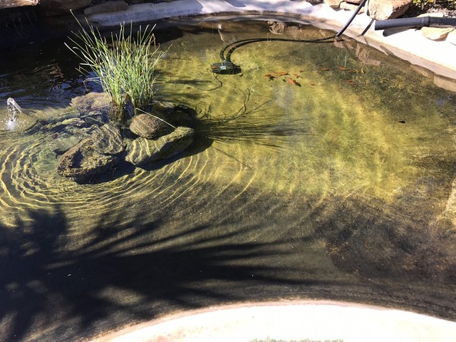 get wet pond,aquariums and aquaponics other garden