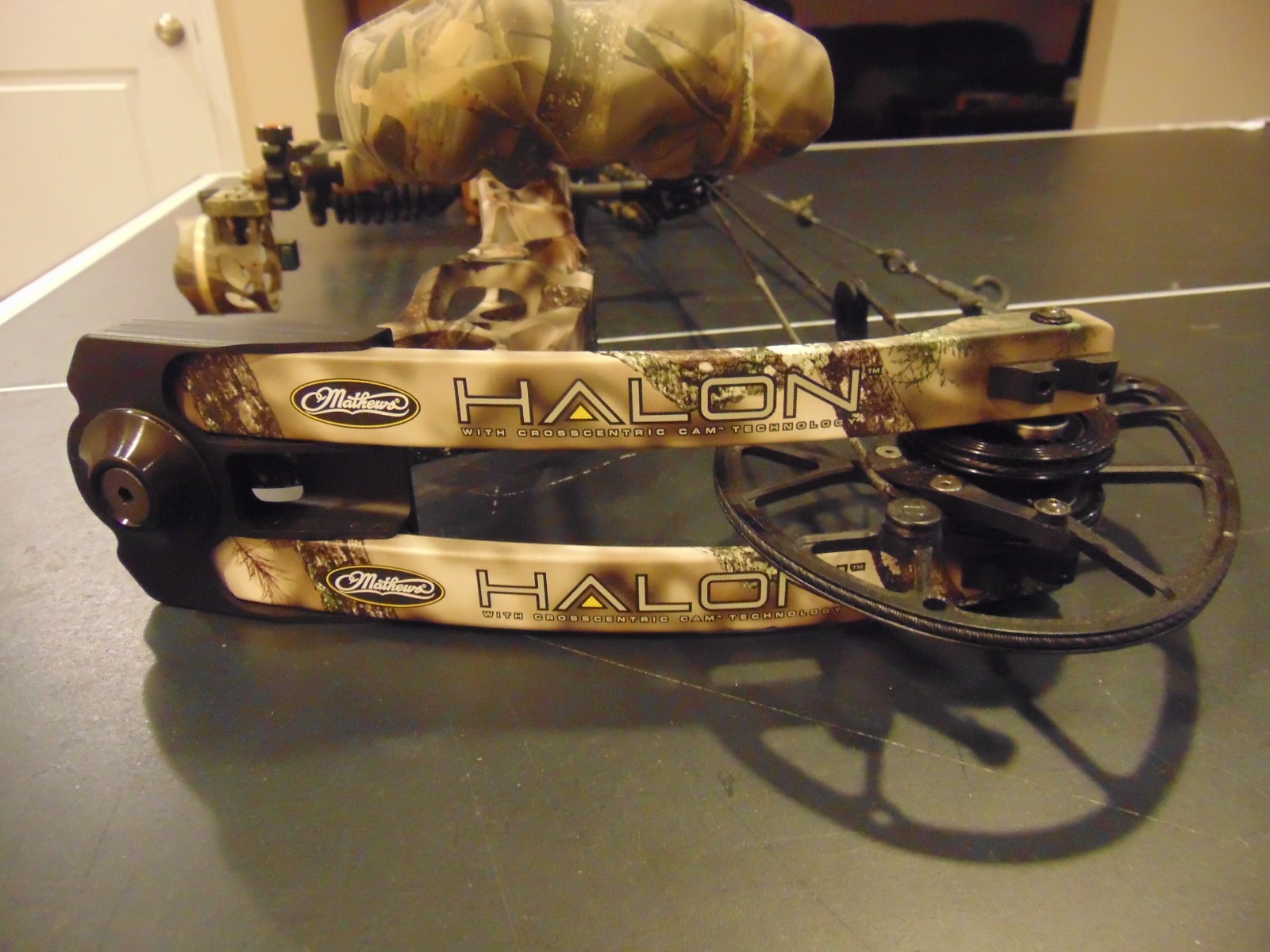Loaded Mathews Halon 6 Bow 70# 29