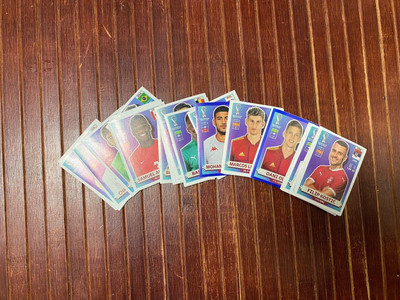 2022 FIFA World Cup World Cup Panini Sport Stickers