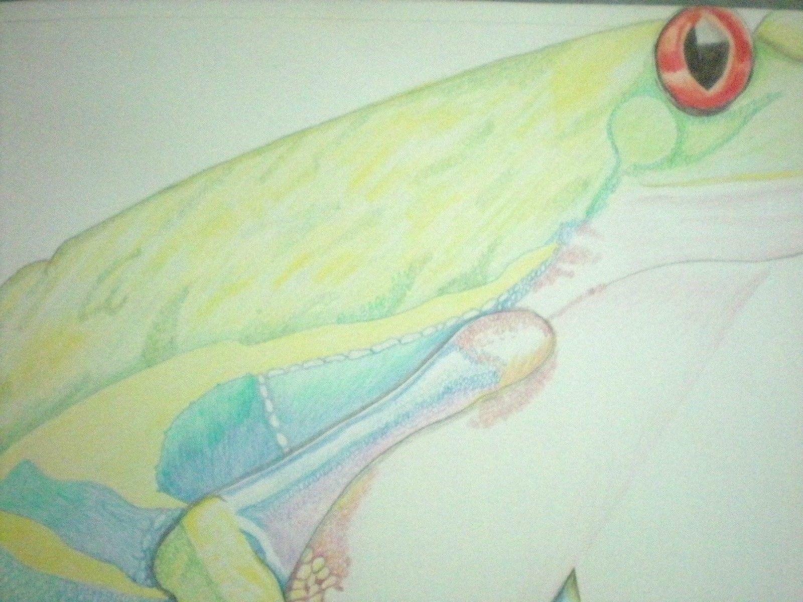 Original Artist Rendering of Red-Eyed Tree Frog Colored Pencil Signed Dated