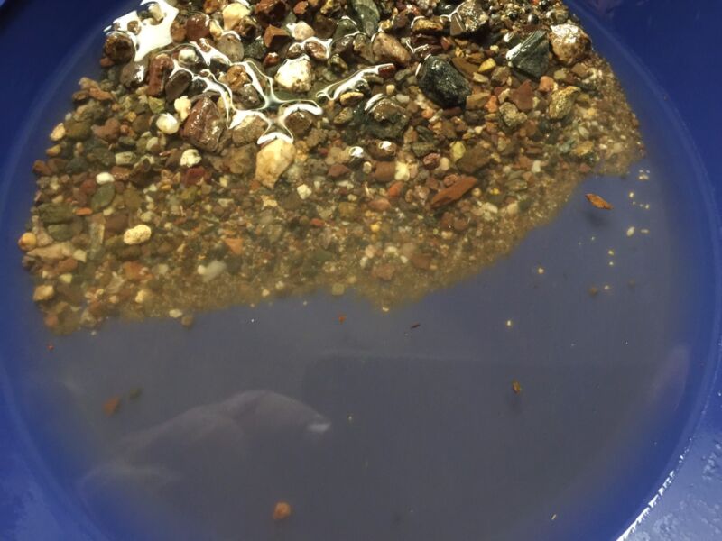 Unsearched Gold Paydirt Panning from the Arizona Bradshaw Mountains