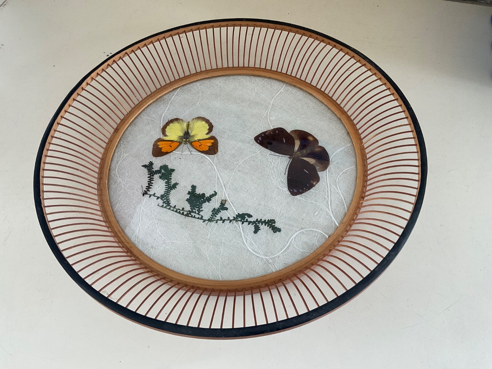 Vintage Japanese Mid Century Bamboo Lucite Butterfly Flared