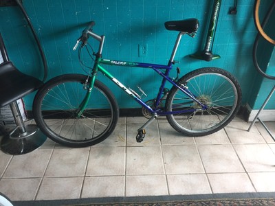 schwinn raleigh bike