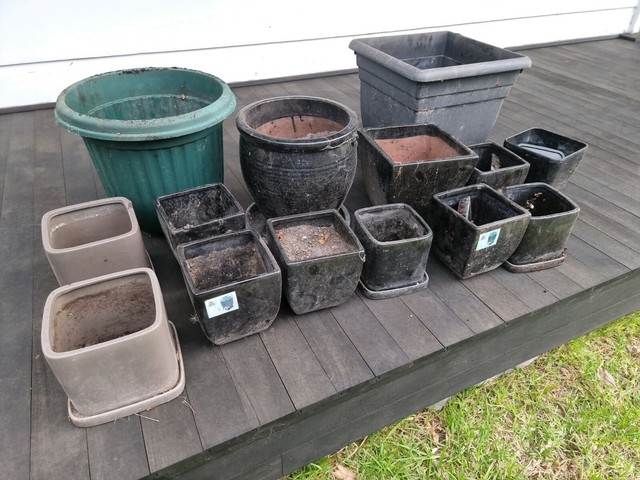 free plant pots near me