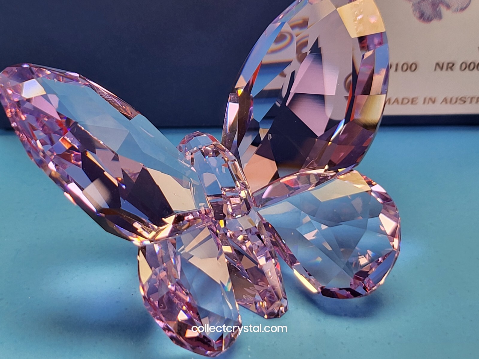 Swarovski Crystal Butterfly Violet Purple Figurine 855803 | eBay Swarovski Crystal Butterfly Violet Purple Figurine 855803 | eBay