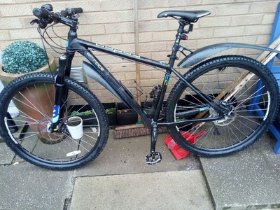 falcon radon 29er