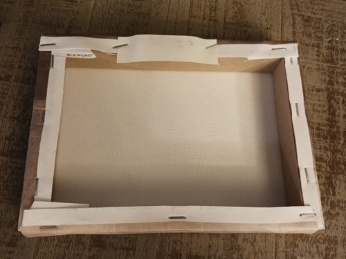 NEW 5"x7" Apple Print Canvas Stretched Ready To Hang