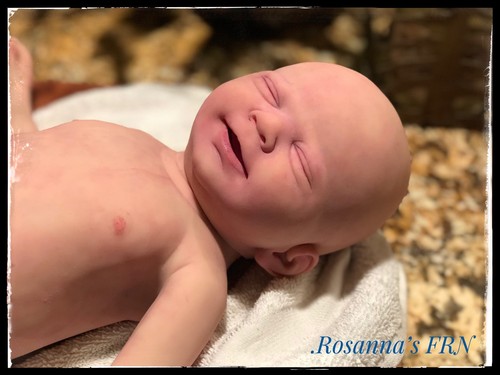 OOAK Full Body Mishka Silicone Reborn Baby Sculpt By Elena Westbrook