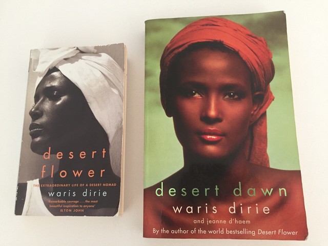 Desert dawn color picture