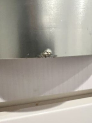 Fotos del artículo de un comprador verificado