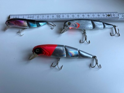 Gießform für Gummifische Bait Molds Zander Barsch ähnlich wie Bass Assassin