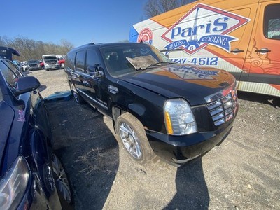 Picture 4
