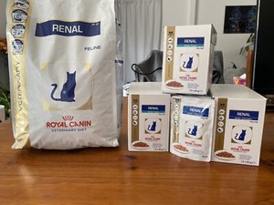 renal cat food australia
