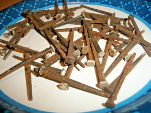 50 - 1 3/4" LONG, THIN !,  EARLY SQUARE STEEL NAILS, GREAT MAINE BARN FIND !   