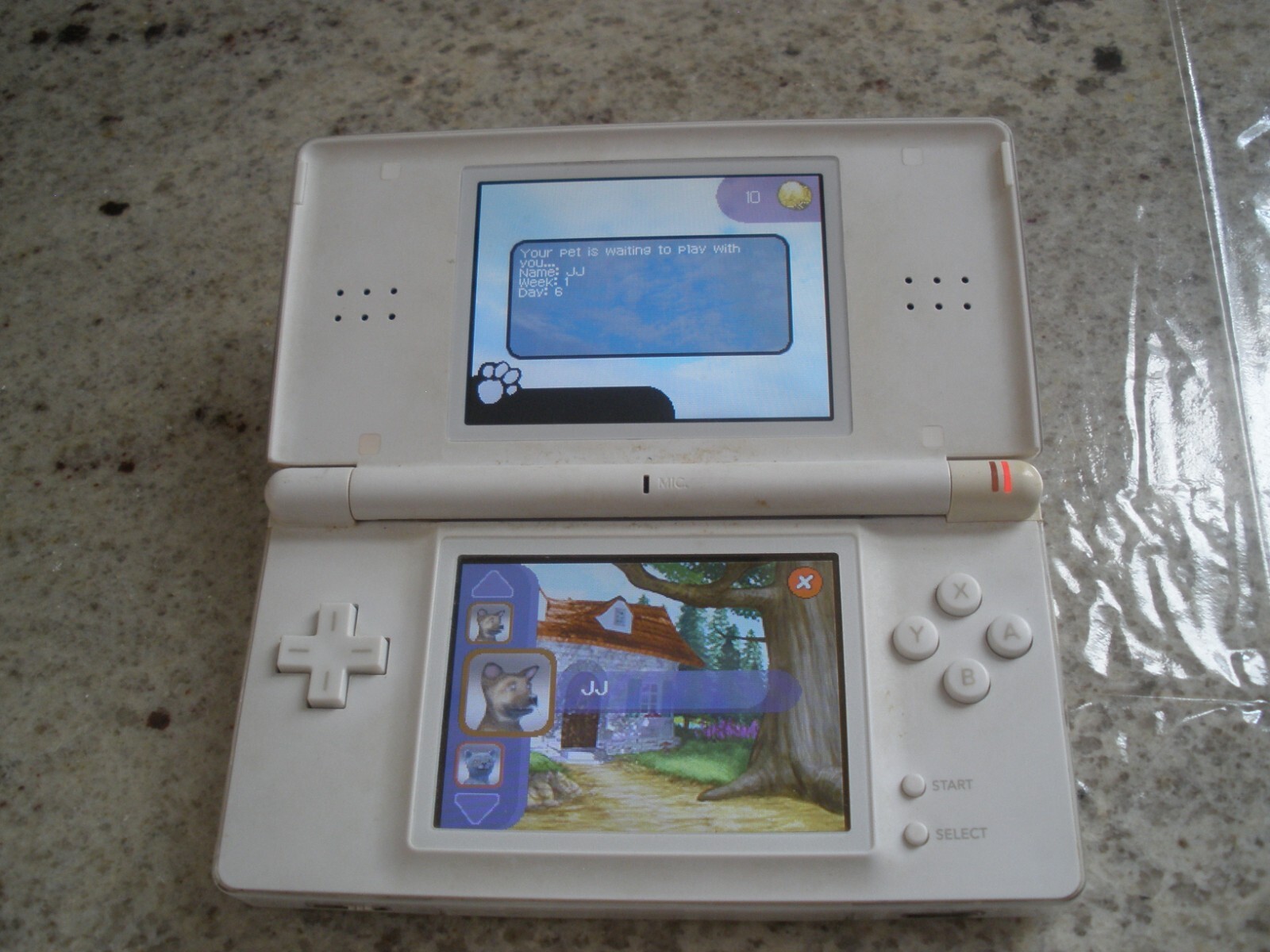 Nintendo Switch Nintendo DS lite The Nintendo DS Lite almost had this popular Switch feature