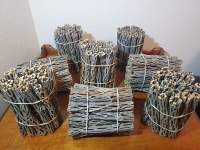 NEW! 6'' inch CHOLLA Wood Pieces | 1/2'' - 3/4'' diameter | 10, 25, 50, 75, 100 pcs