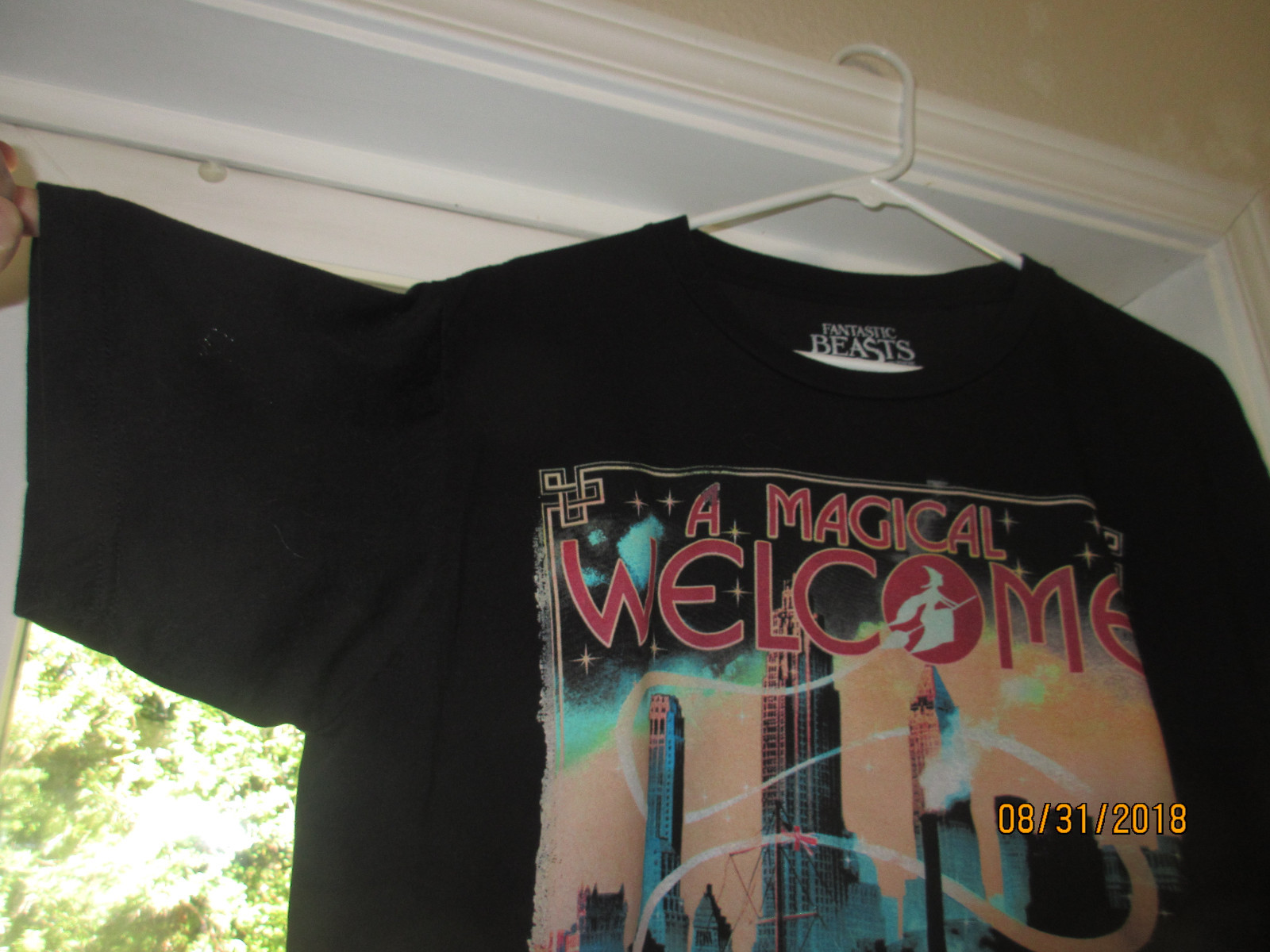 FANTASTIC BEASTS (HARRY POTTER) T-SHIRT - MEN'S X-LG