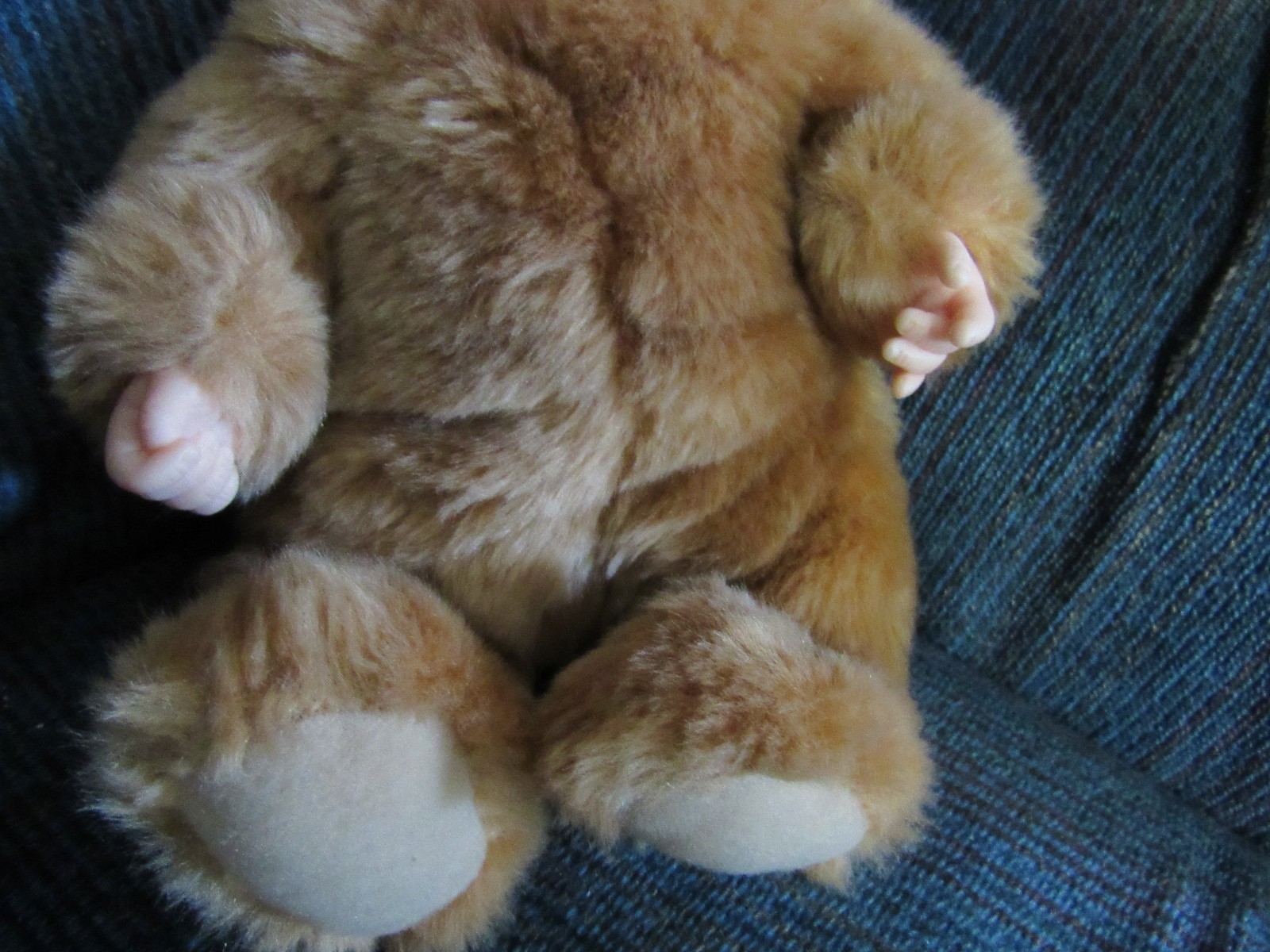 Anne Geddes Baby Bear 9