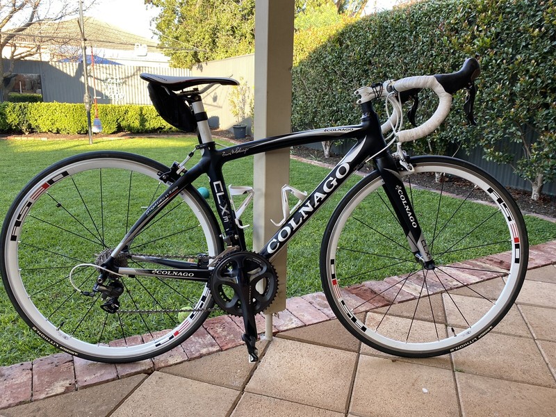 gumtree colnago