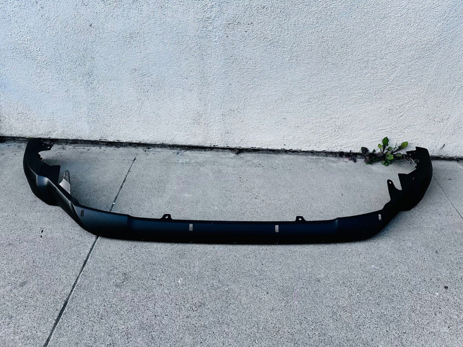 よろよろ $_57.JPG?set_id=880000500F