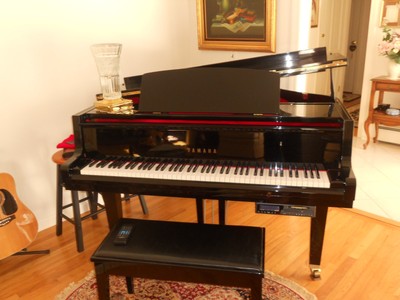 Yamaha GH1 Ebony Baby Grand Piano PLAYER pianodisc 128
