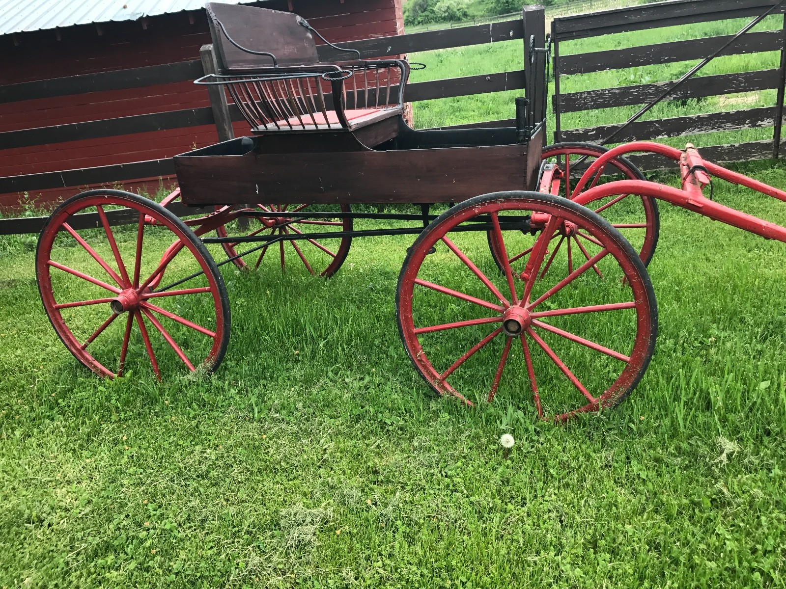 BEAUTIFUL  One Horse Carriage - ANTIQUE RUNABOUT