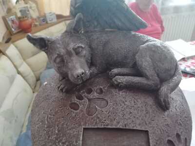 Artikelfoto(s) von einem verifizierten Käufer