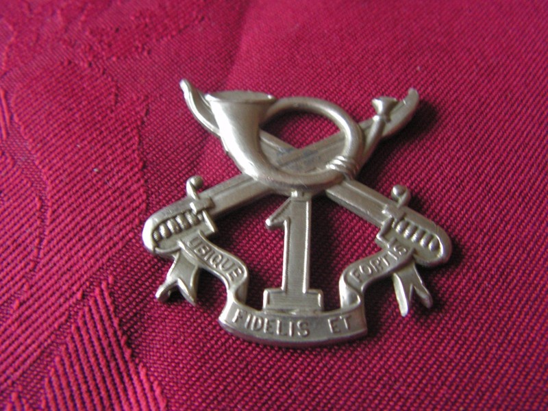 Insigne Militaire Chasseur A Cheval Caserner A Arolsen Allemagne 