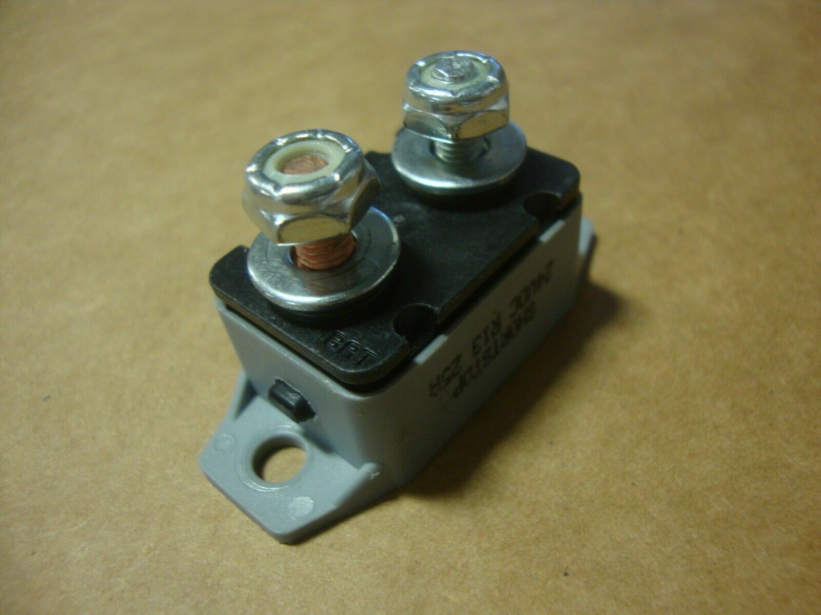 ブルドッグ　0825 $_57.JPG?set_id=8800005007