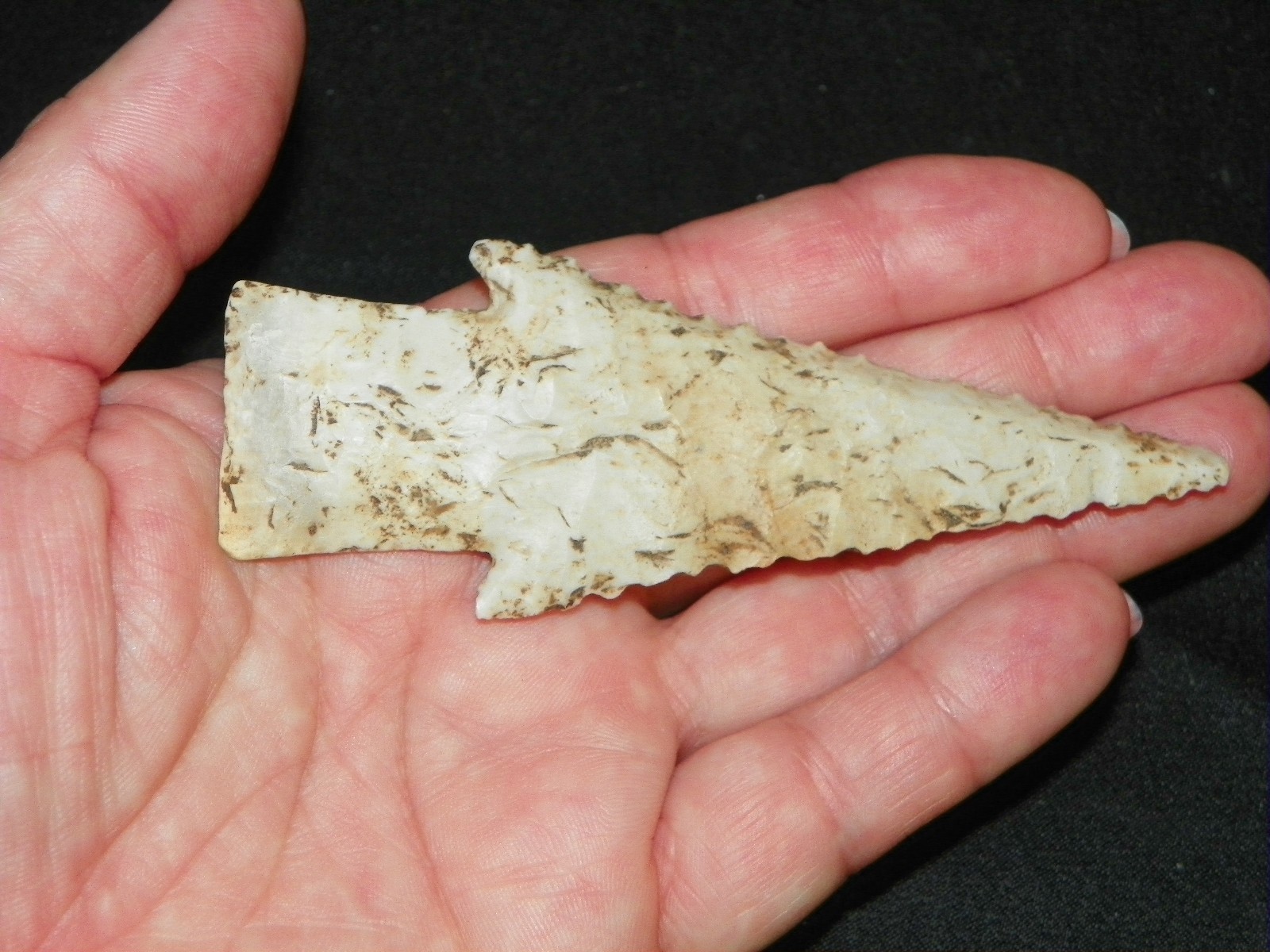 Hardin Arrowhead Point Native American Indian Artifact Tom Davis COA