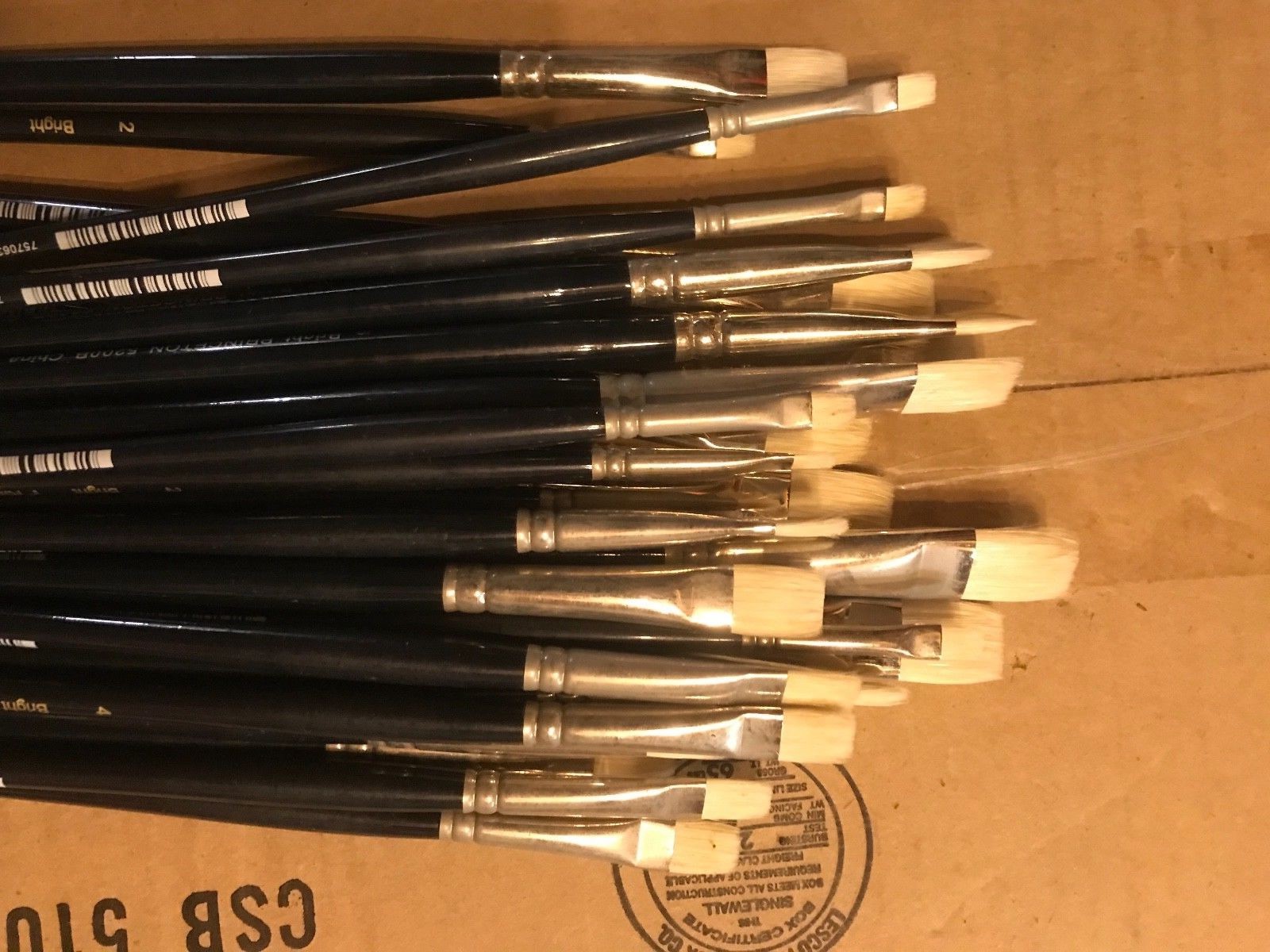 Princeton Bright 5200B Brushes