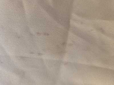 Artikelfoto(s) von einem verifizierten Käufer