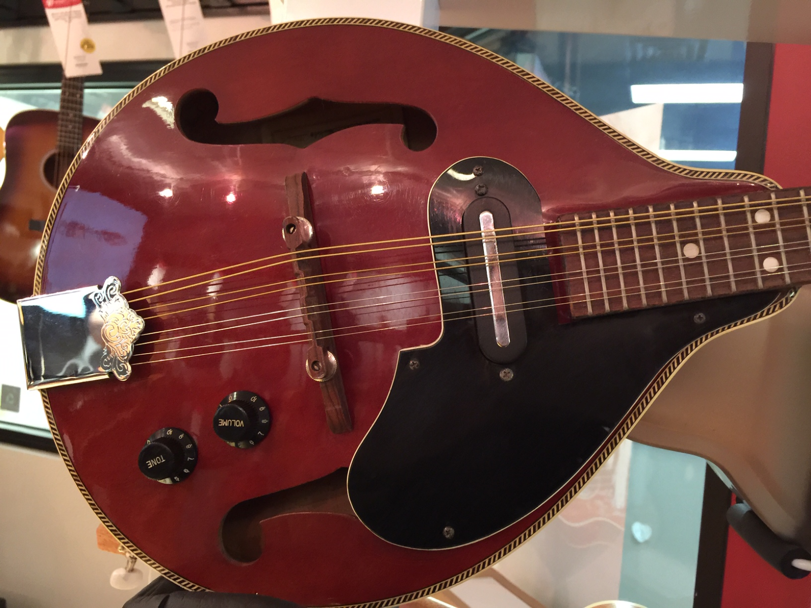 Vintage Goya by CF Martin Electric/Acoustic Mandolin Project